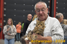 Antwerpen 202
