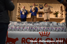 Antwerp 2022225