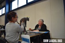 Show Laakdal 2022 0400