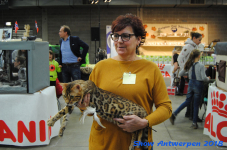 antwerp 2018 0453