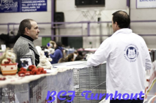  bcf ant 201164