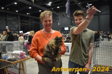 Antwerpen 234