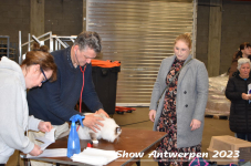 Schow Antwerpen 2023 057