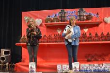 Katttenshow Arendonk 2020 DSC 0576