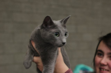 img 2444