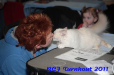 bcf antw 2010 178