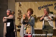 Antwerp 2022352