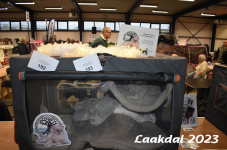 Laakdal 2023 107