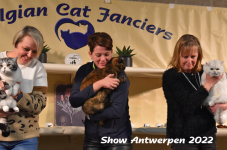 Antwerp 2022341