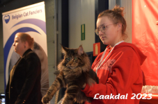 Laakdal 2023 275