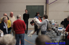 turnhout20150313