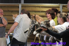 arendonk 2012 256