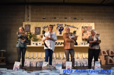 Antwerpen 2019DSC 0222