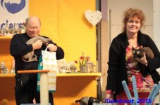 turnhout20150082