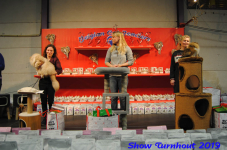turnhout 2019-0109