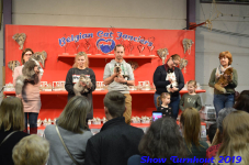 turnhout 2019-0406