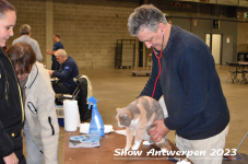 Schow Antwerpen 2023 114