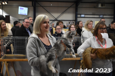 Laakdal 2023 354