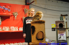 turnhout 2019-0111