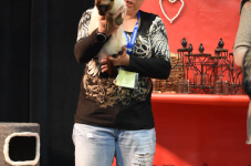 Katttenshow Arendonk 2020 DSC 0291