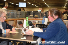 Schow Antwerpen 2023 330