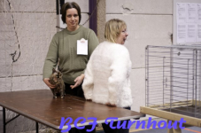  bcf ant 201156