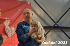 Laakdal 2023 335