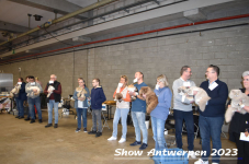 Schow Antwerpen 2023 376