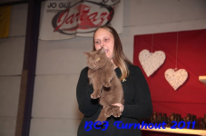bcf antw 2010 156