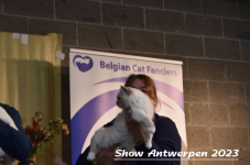 Schow Antwerpen 2023 314