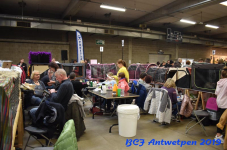Antwerpen 2019DSC 0169