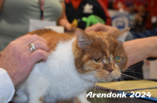 Arendonk 2024 232