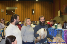 Katttenshow Arendonk 2020 DSC 0248