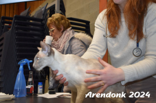 Arendonk 2024 098
