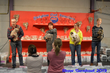 turnhout 2019-0382