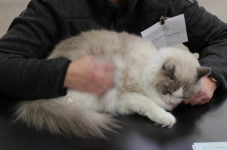 img 2401
