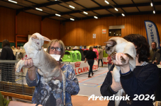 Arendonk 2024 394