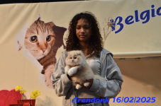 DSC 0357
