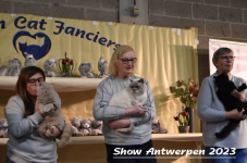 Schow Antwerpen 2023 336