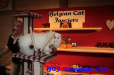 bcf antw 2010 287
