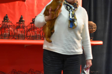 Katttenshow Arendonk 2020 DSC 0340