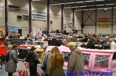turnhout 2019-0273