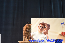 DSC 0381