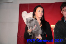 bcf antw 2010 278