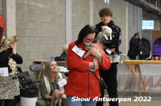 Antwerp 2022334