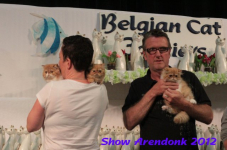 arendonk 2012 248