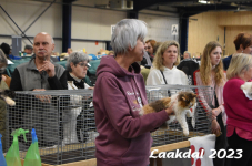 Laakdal 2023 332