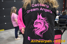Antwerpen 223