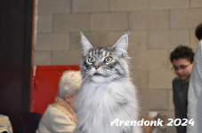 Arendonk 2024 224