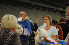 antwerp 2018 0289